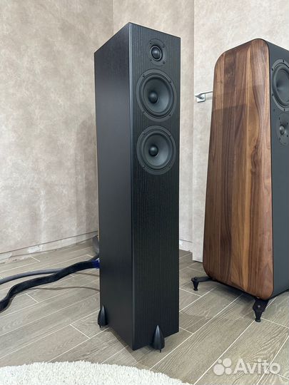 Акустика Totem Acoustic Bison Twin Tower
