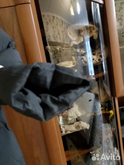 Пуховик зимний длинный женский 52-54, торг