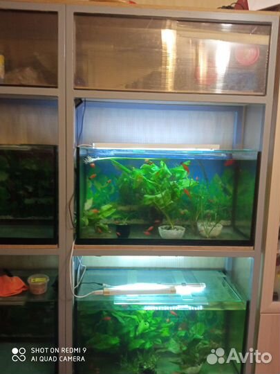 Аквариумы 100 л и 40 л (6 шт.)