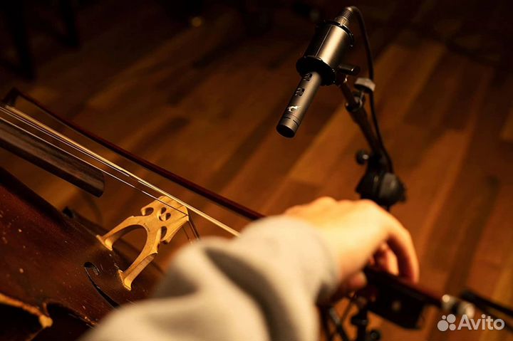 Микрофон Antelope Audio Edge Note