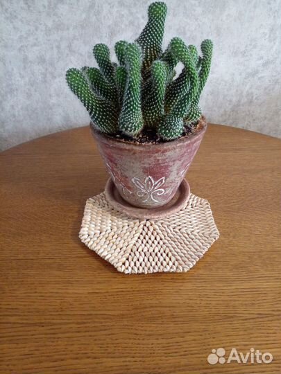 Салфетки из ракушек