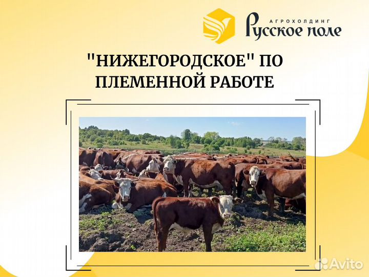 Рабочий по уходу за животными (с проживанием)