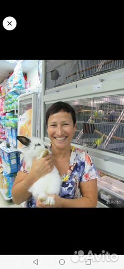 Продавец в зоомагазин