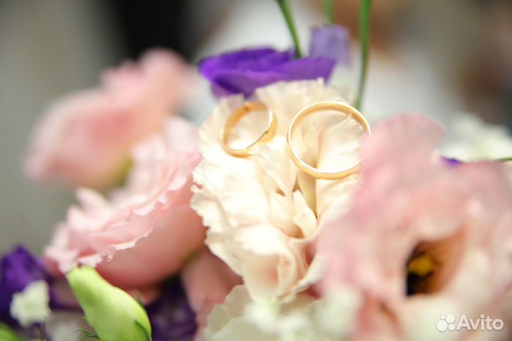 Фотограф Фото Видеосъемка 4к Проектор.Свадебный