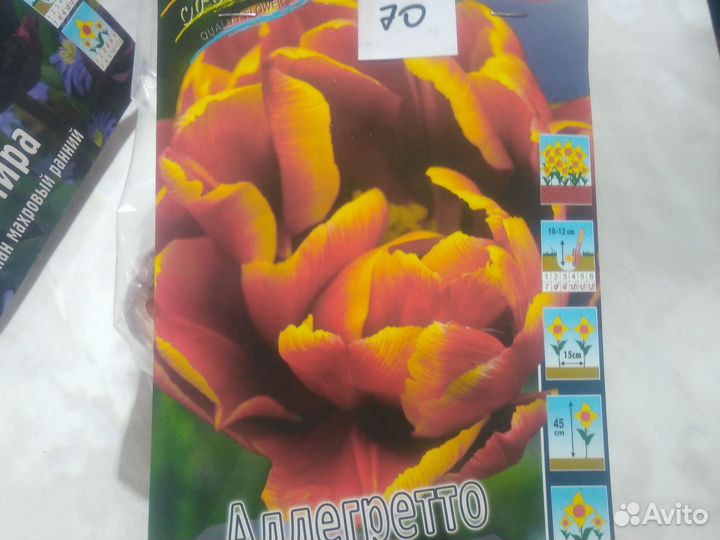 Тюльпаны махровые
