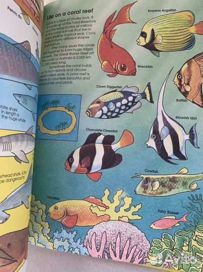 Энциклопедия для детей на английском языке