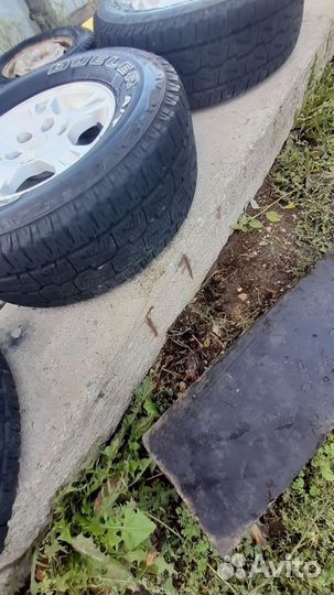 Akuret Hi-Run Bias 5.10/8.5 R12C