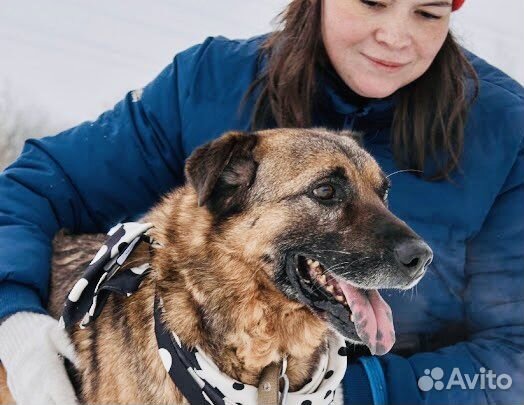 Джеффри не должен зачахнуть в приюте