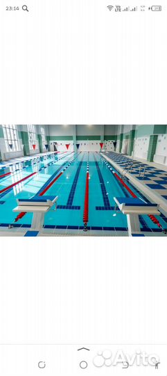 Школа 7 гномов