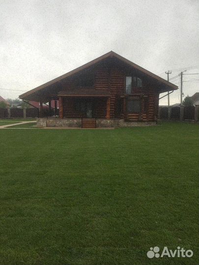 Рулонный газон от производителя стандарт