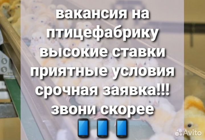Разнорабочий вахта питание Нижний Новгород