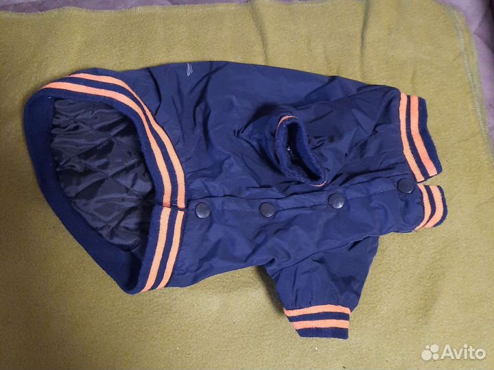 Одежда для маленьких собак бу