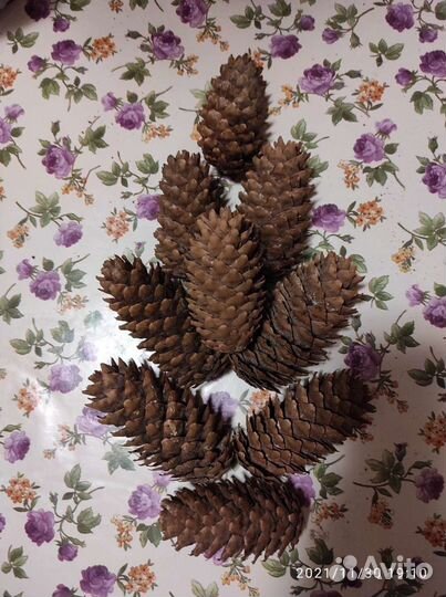 Деревянный дизайн