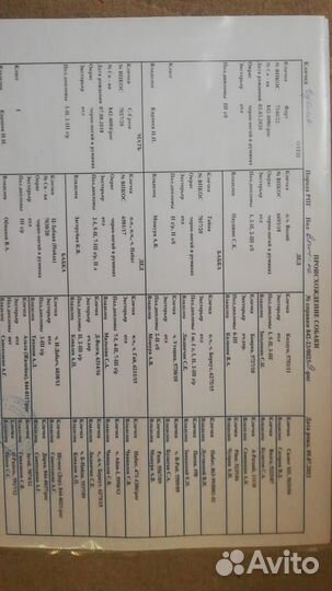 Русская пегая гончая