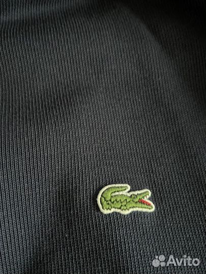 Толстовка Lacoste XL