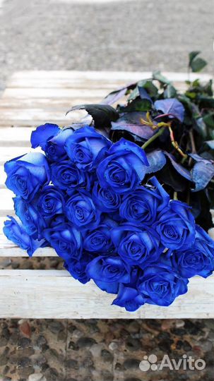 Букет из синих роз 55 см доставка