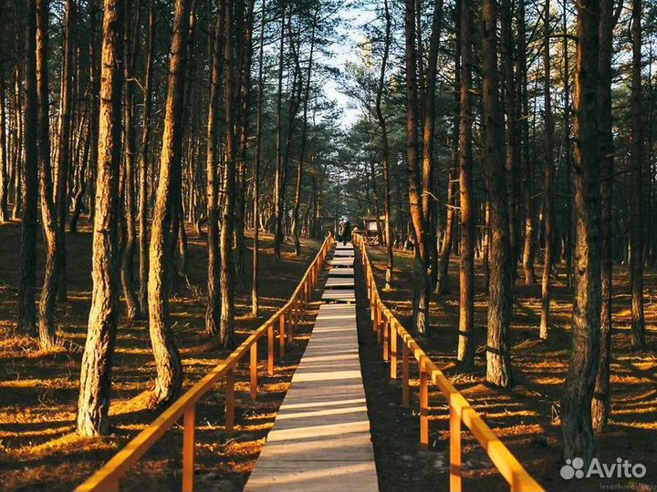 Индивидуальная поездка на куршскую косу