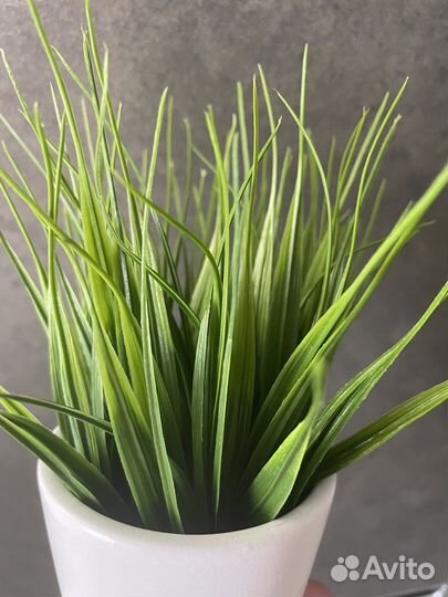 Искусственные растения для декора