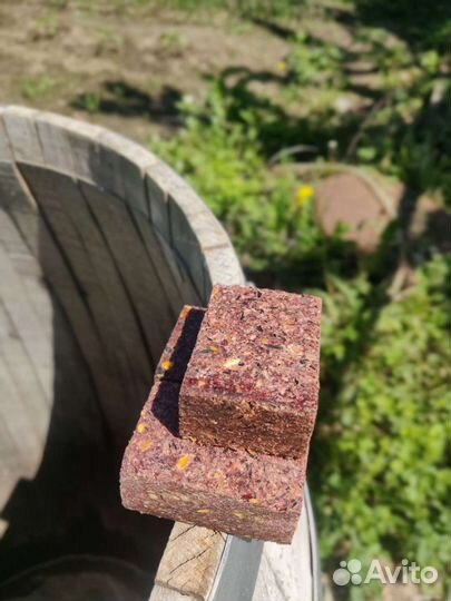 Жмых для рыбалки крепкий на сазана