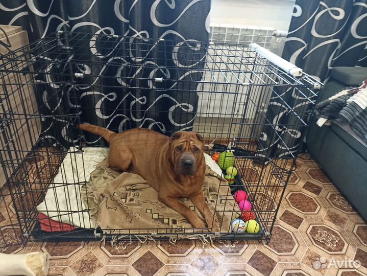 Клетка для собак