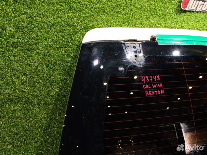 Дверь багажника Ssangyong Rexton GAB D27DT 2007