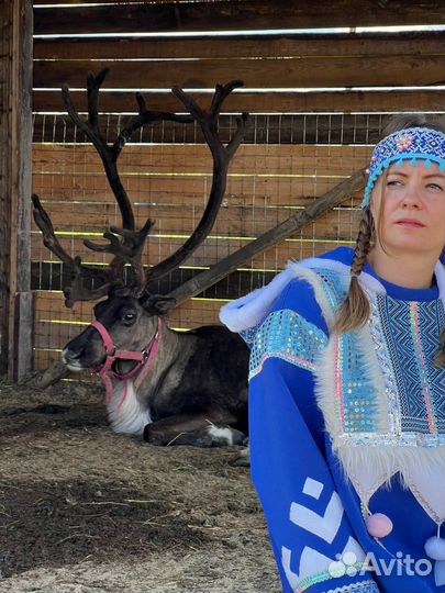 Оленья ферма в Бережке