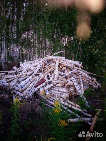 Дрова берёза