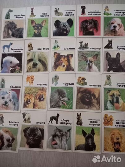 Открытки СССР 