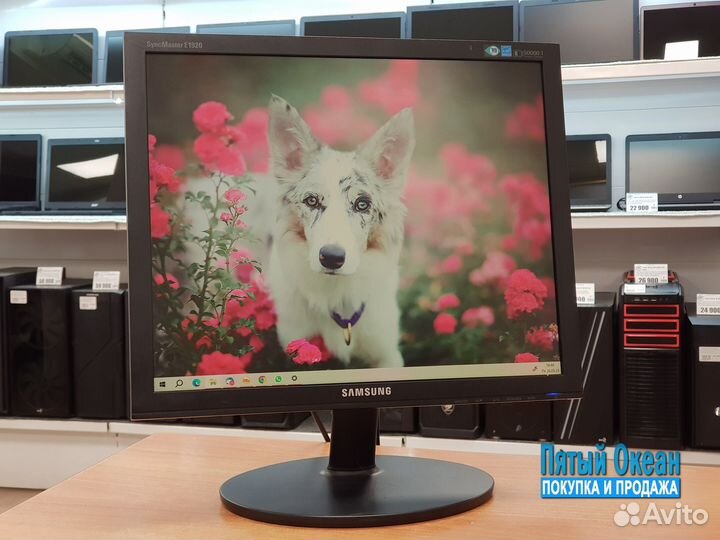 Мониторы ЖК 19