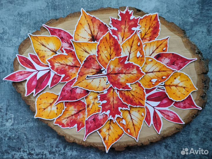 10 разных наборов высечек для скрапбукинга