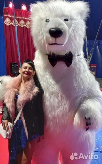 Цирковой Белый мишка с поздравлением для всех