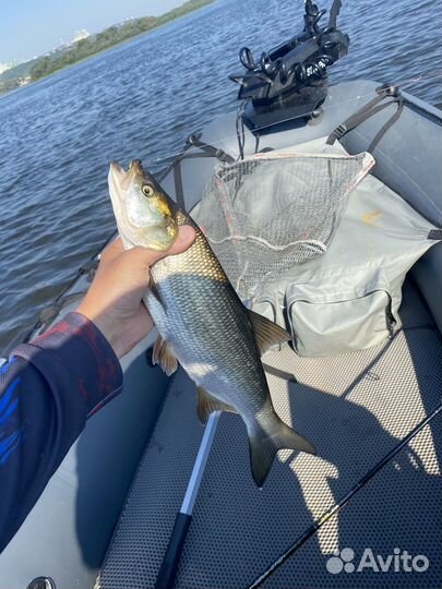 Возьму на рыбалку (гид)