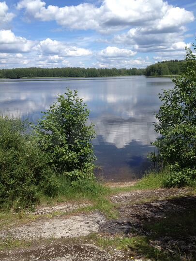 Участок 14,9 сот. (СНТ, ДНП)