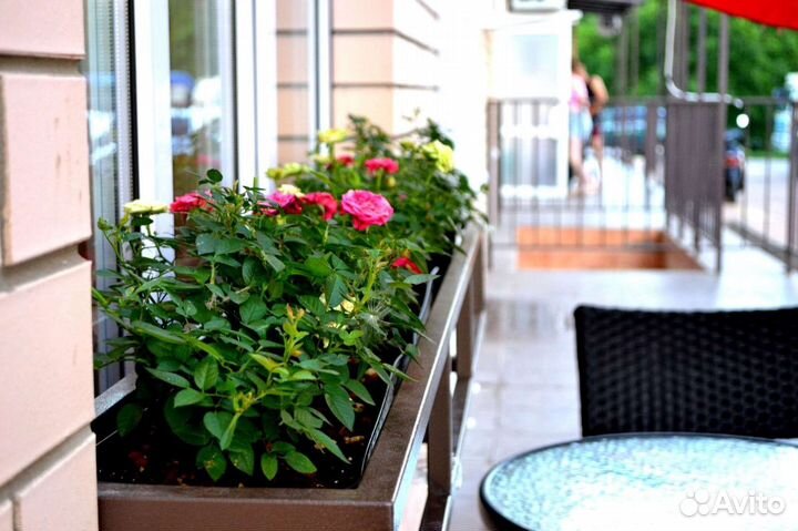 Обучение Бариста