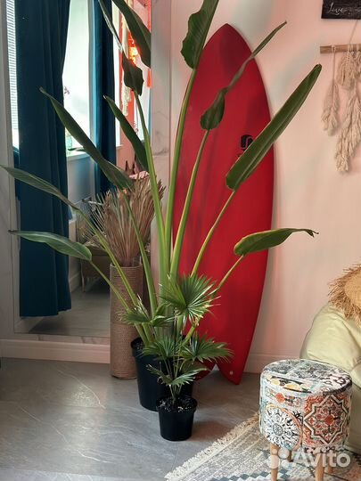 Аренда студии для мероприятий