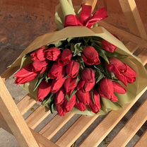 Тюльпаны, Махачкала