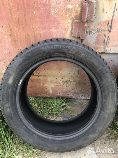 Nexen Winguard Ice Plus 205/55 R16