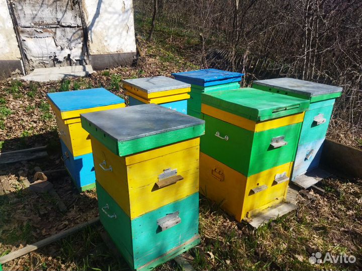 Улей для пчел бу