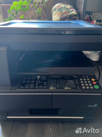 Мфу kyocera taskalfa 180