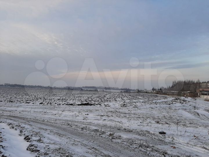 Участок 6 га (СНТ, ДНП)