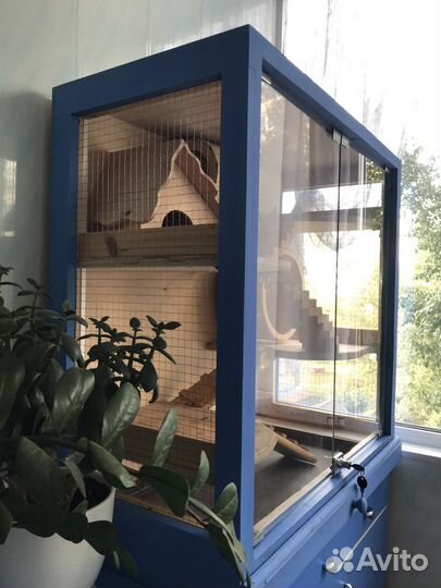 Клетка-витрина