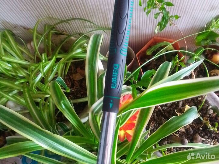 Клюшка Японияя