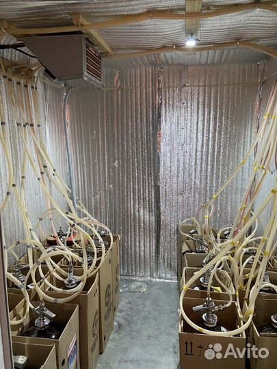 Магазин разливных напитков