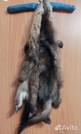 Шкуры соболя