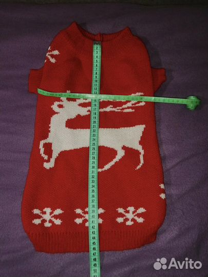 Одежда для средних собак