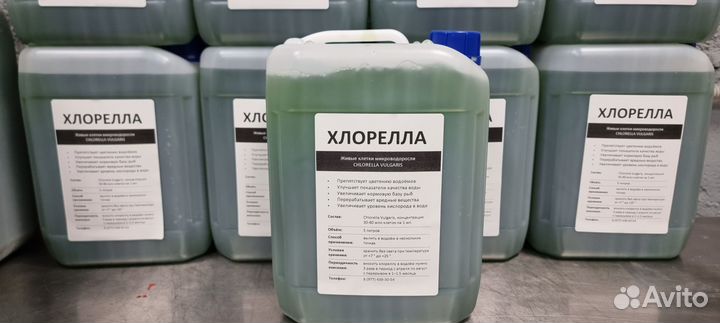 Хлорелла для водоемов