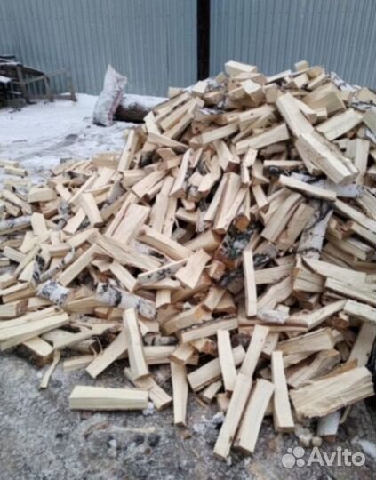 Дрова береза