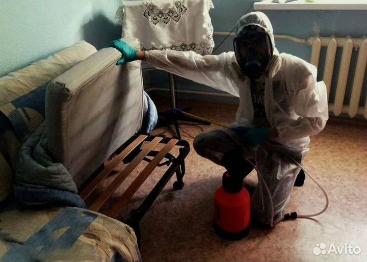 Уничтожение клопов. Дезинсекция тараканов