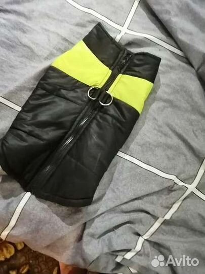 Желедка для собак XL