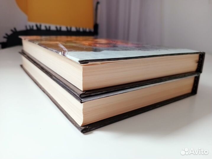 Степан Разин Злобин 2 книги